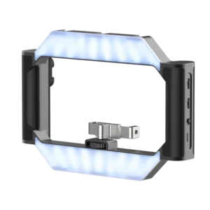 Ulanzi U-Rig Video LED Light Wireless Remote Smartphone Video Light 2 in 1 Ring Light Handheld Light with Bracket for DSLR